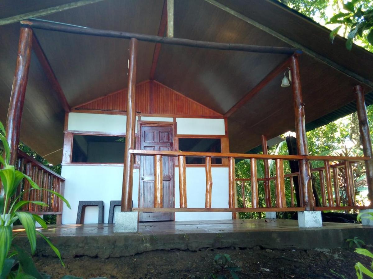 Corcovado Adventures Hostel Drake Bay ภายนอก รูปภาพ