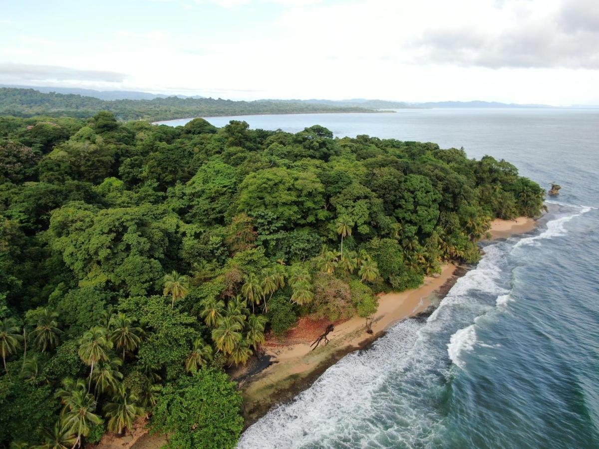 Corcovado Adventures Hostel Drake Bay ภายนอก รูปภาพ
