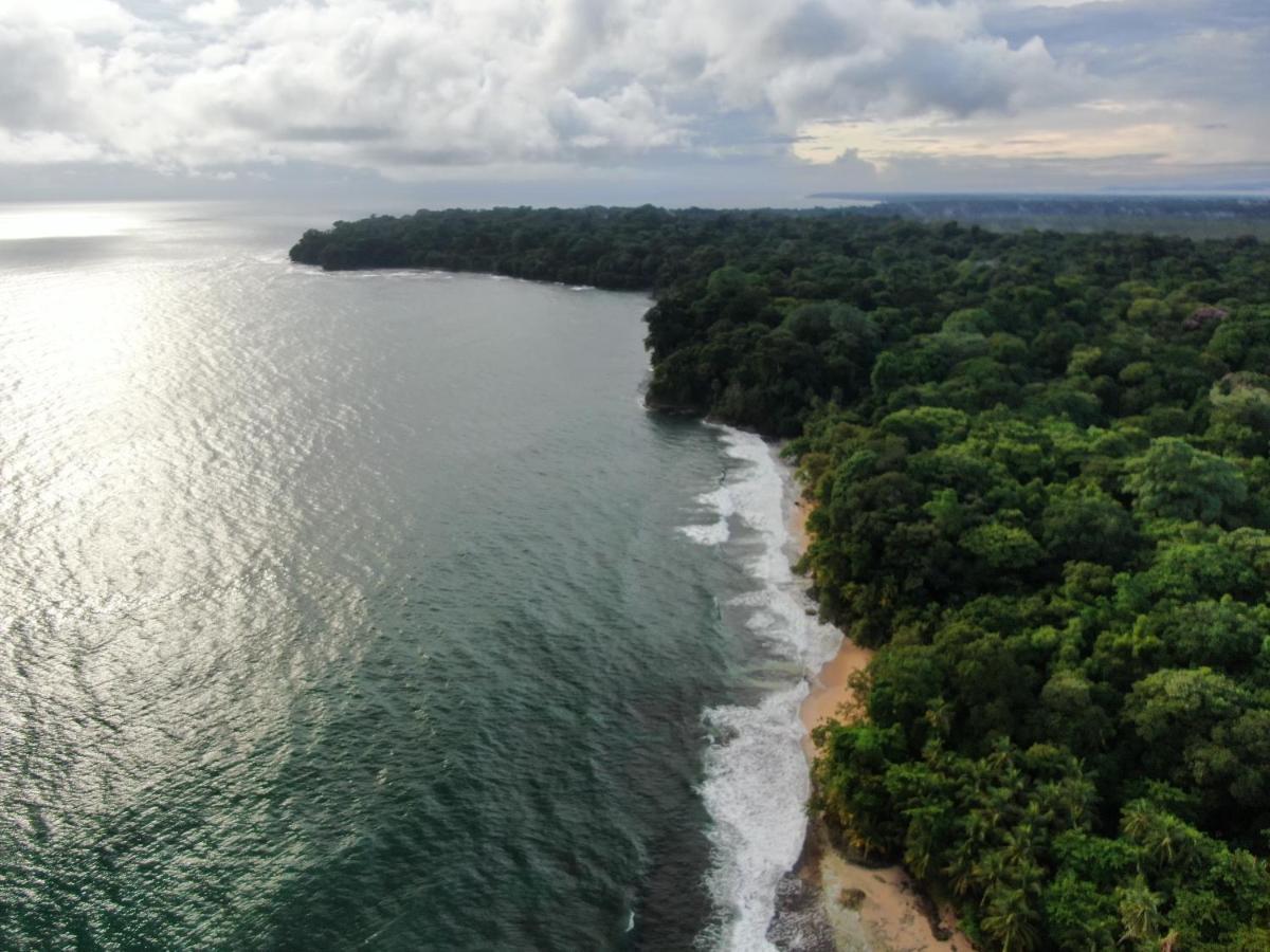 Corcovado Adventures Hostel Drake Bay ภายนอก รูปภาพ