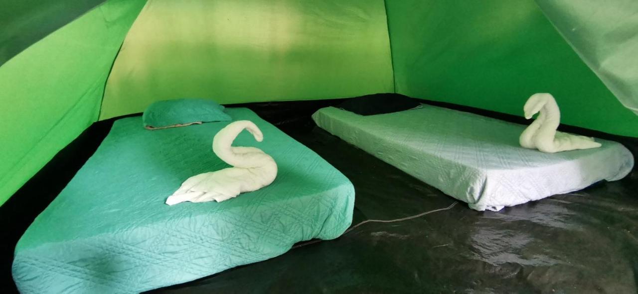 Corcovado Adventures Hostel Drake Bay ภายนอก รูปภาพ