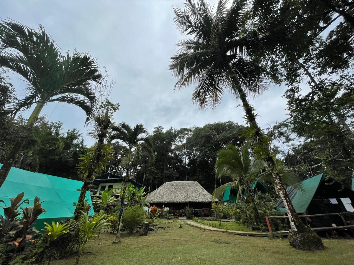 Corcovado Adventures Hostel Drake Bay ภายนอก รูปภาพ