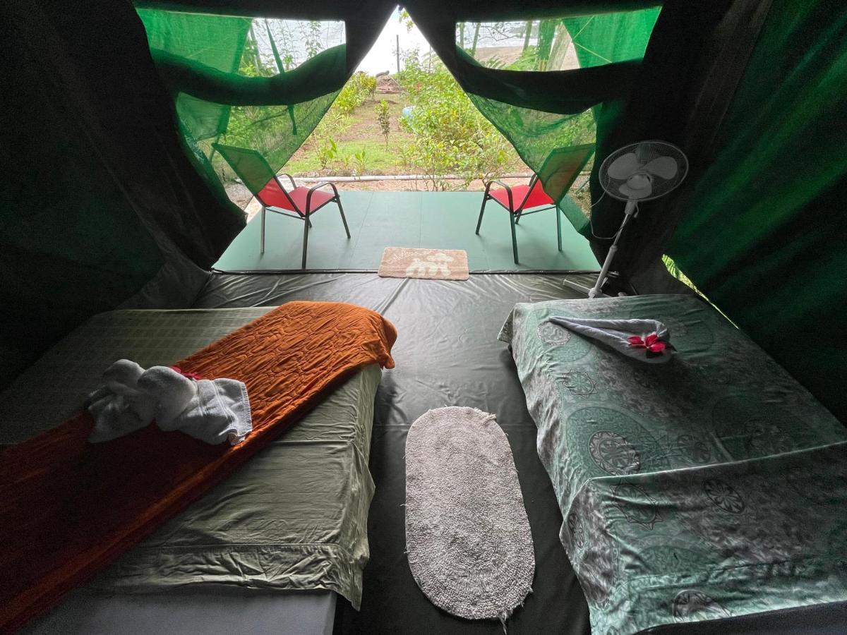Corcovado Adventures Hostel Drake Bay ภายนอก รูปภาพ