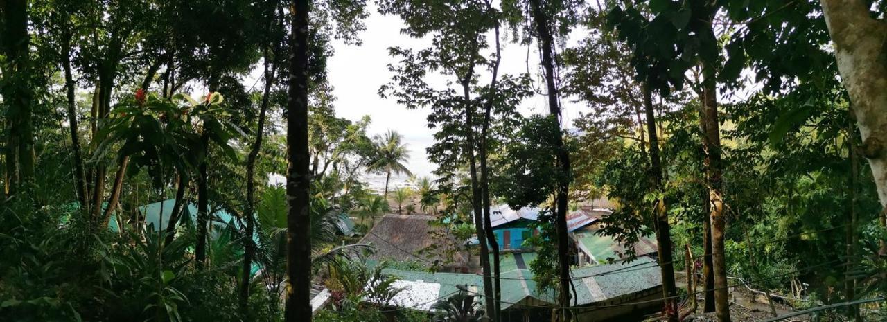 Corcovado Adventures Hostel Drake Bay ภายนอก รูปภาพ
