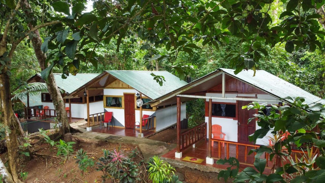 Corcovado Adventures Hostel Drake Bay ภายนอก รูปภาพ