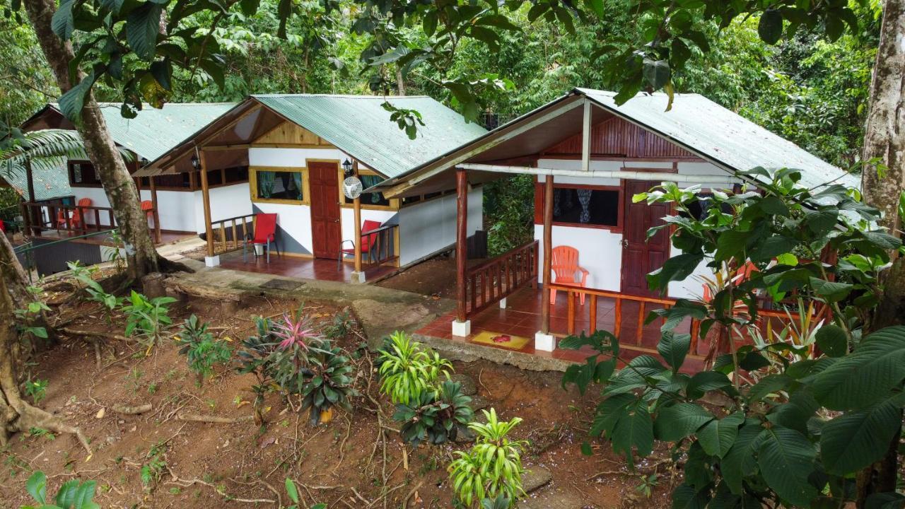 Corcovado Adventures Hostel Drake Bay ภายนอก รูปภาพ