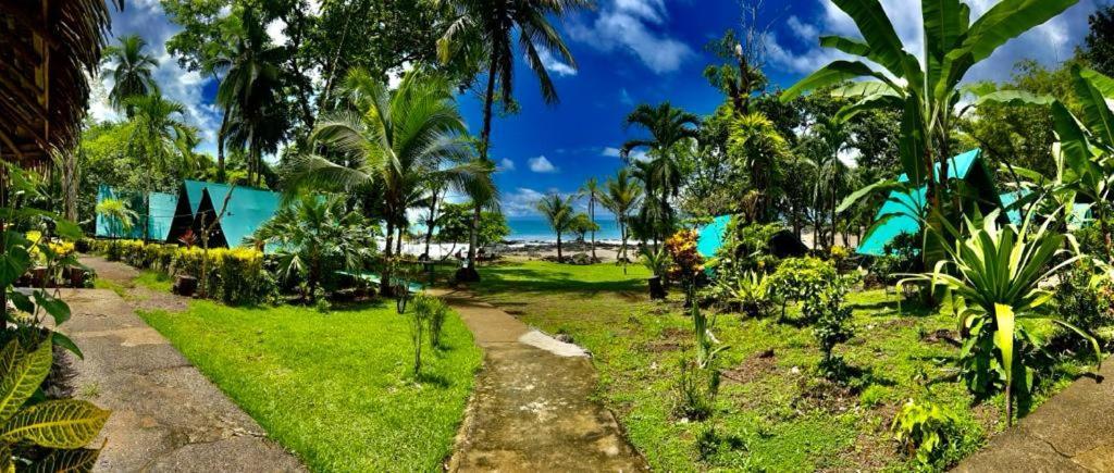 Corcovado Adventures Hostel Drake Bay ภายนอก รูปภาพ
