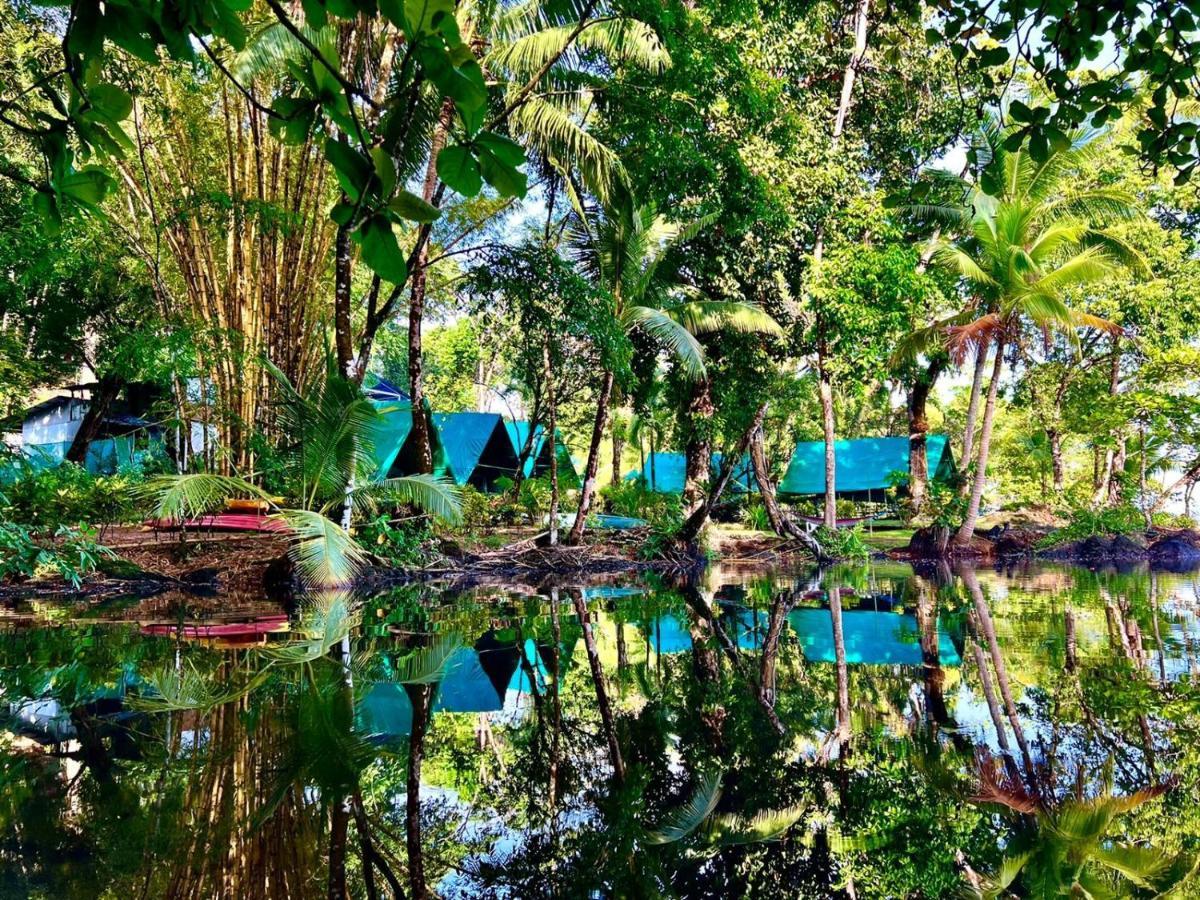 Corcovado Adventures Hostel Drake Bay ภายนอก รูปภาพ