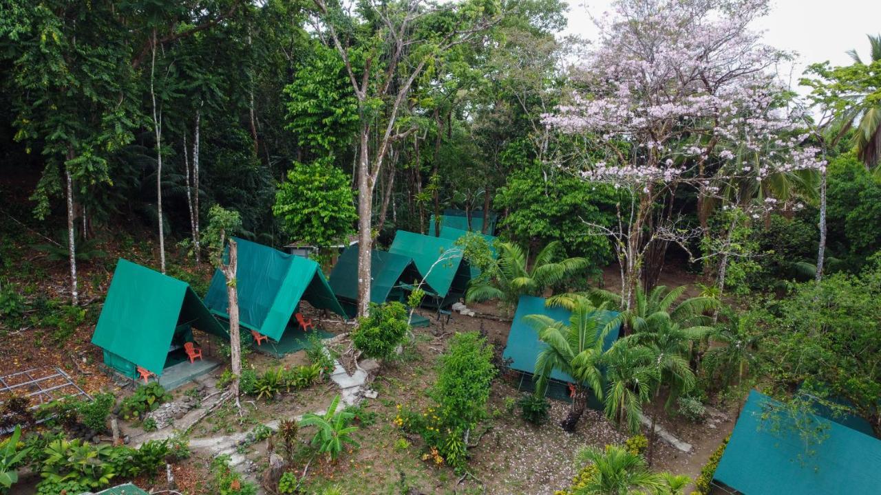 Corcovado Adventures Hostel Drake Bay ภายนอก รูปภาพ