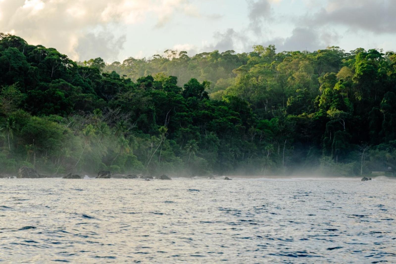 Corcovado Adventures Hostel Drake Bay ภายนอก รูปภาพ