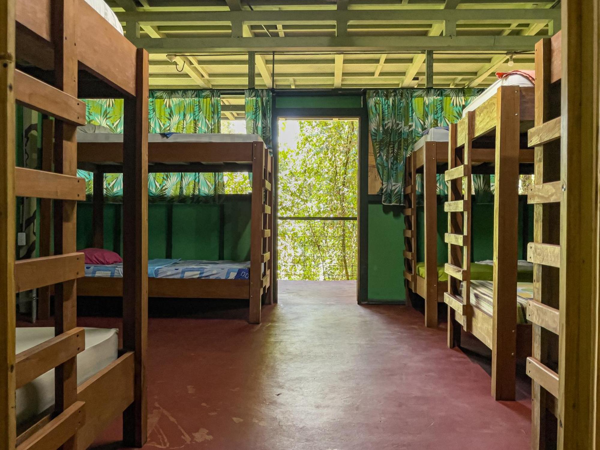 Corcovado Adventures Hostel Drake Bay ภายนอก รูปภาพ