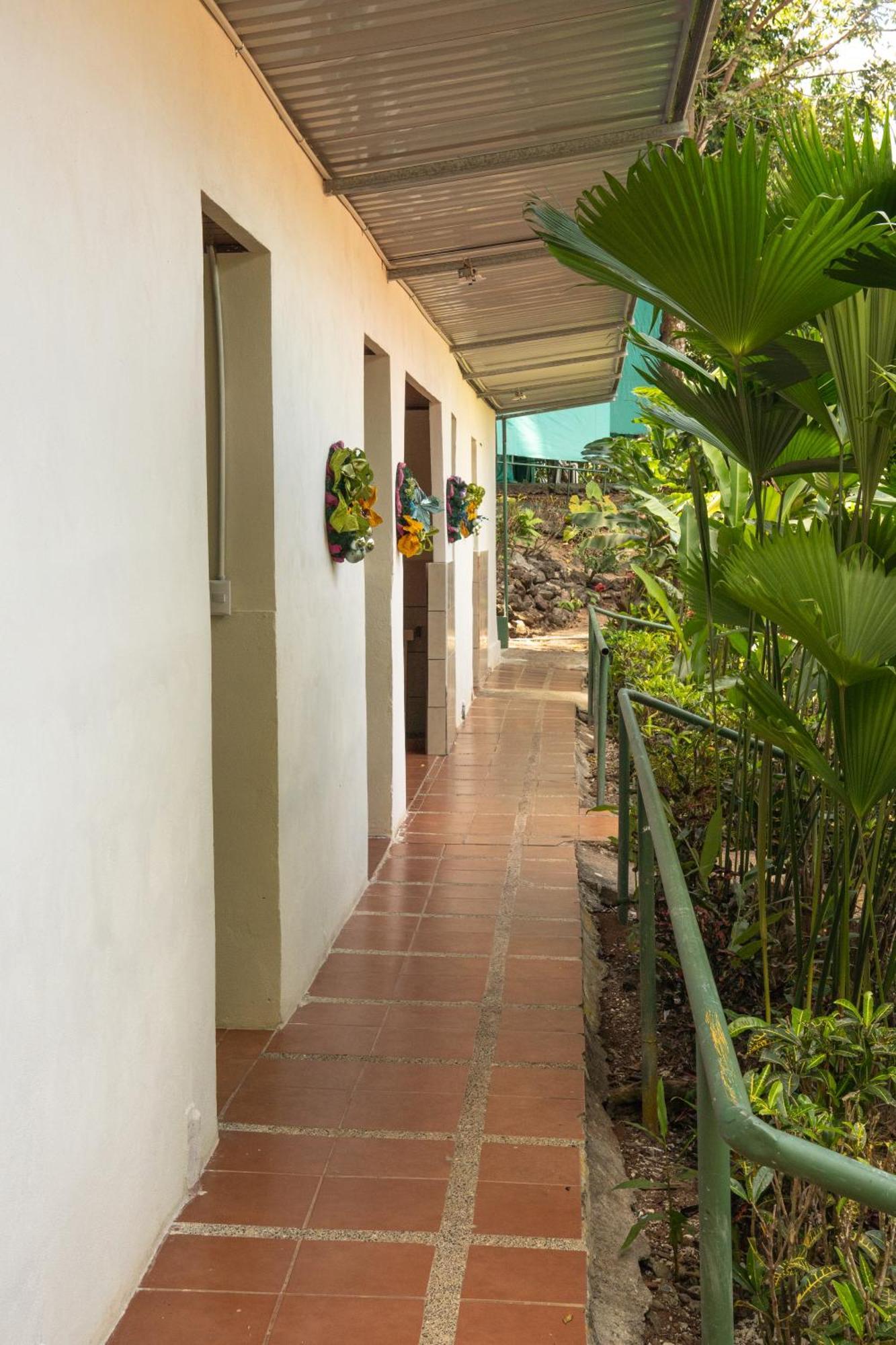 Corcovado Adventures Hostel Drake Bay ภายนอก รูปภาพ