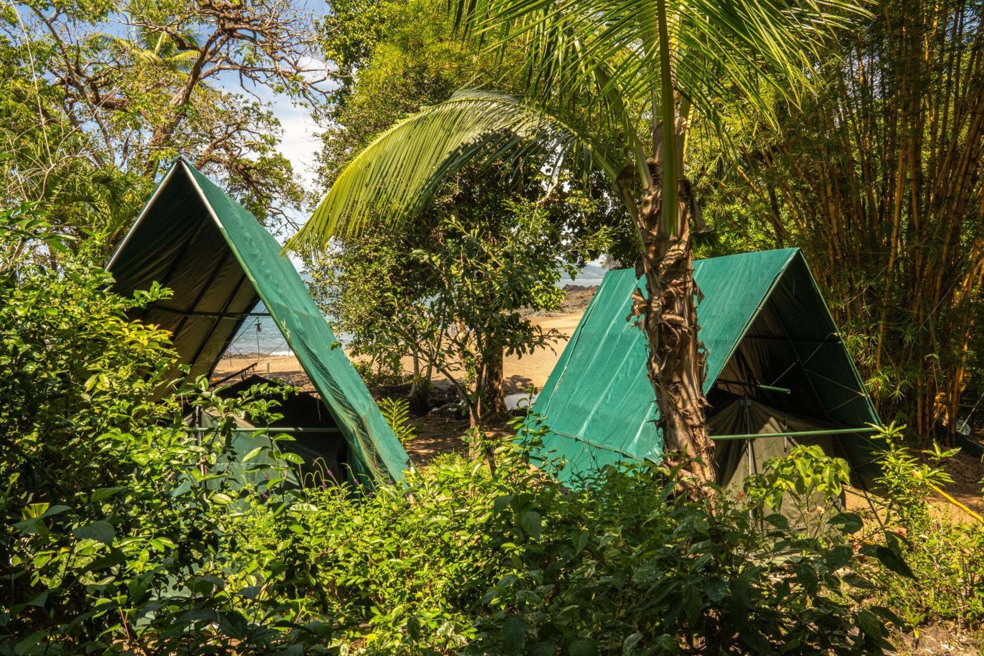 Corcovado Adventures Hostel Drake Bay ภายนอก รูปภาพ