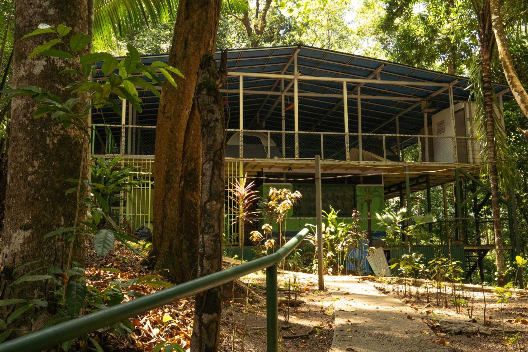 Corcovado Adventures Hostel Drake Bay ภายนอก รูปภาพ