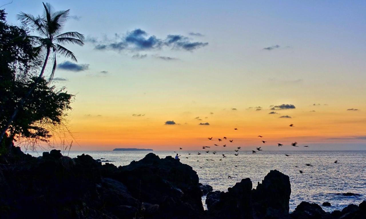 Corcovado Adventures Hostel Drake Bay ภายนอก รูปภาพ