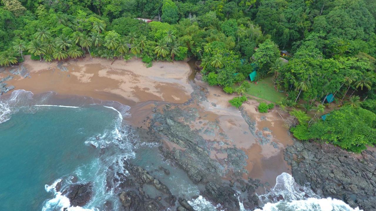 Corcovado Adventures Hostel Drake Bay ภายนอก รูปภาพ