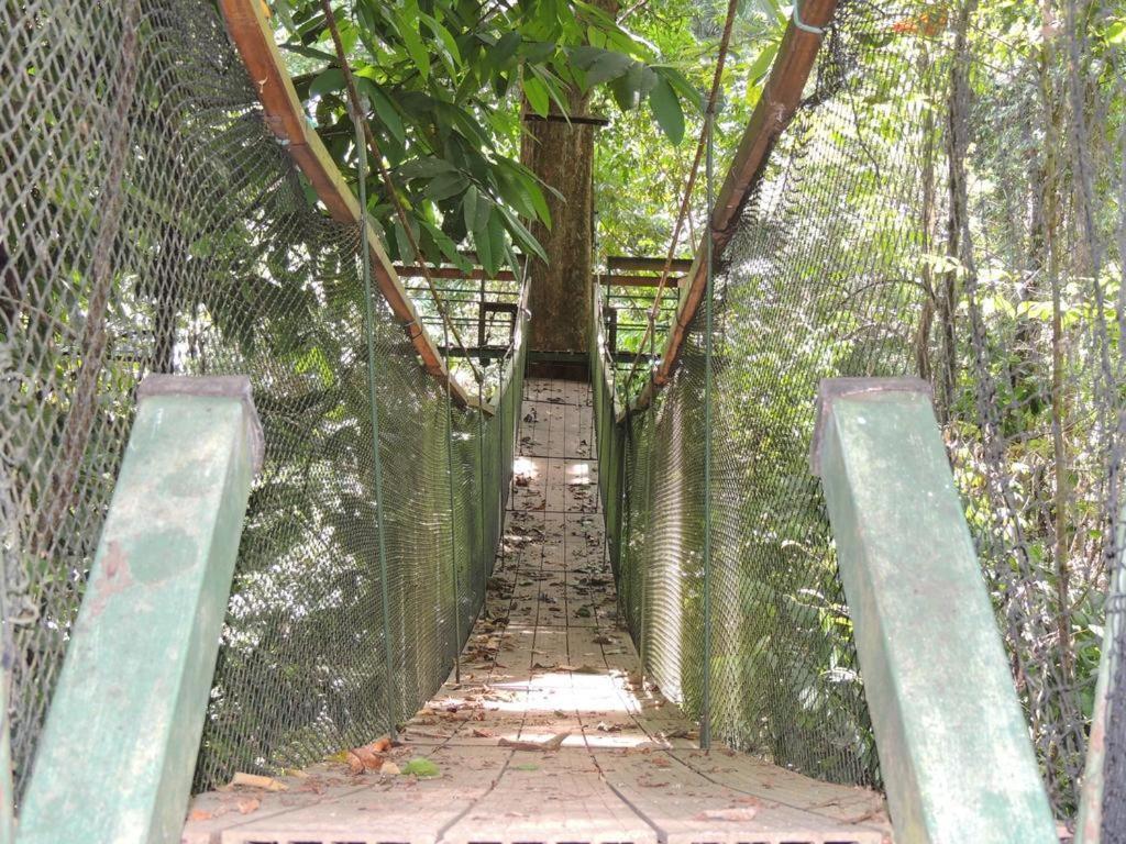 Corcovado Adventures Hostel Drake Bay ภายนอก รูปภาพ
