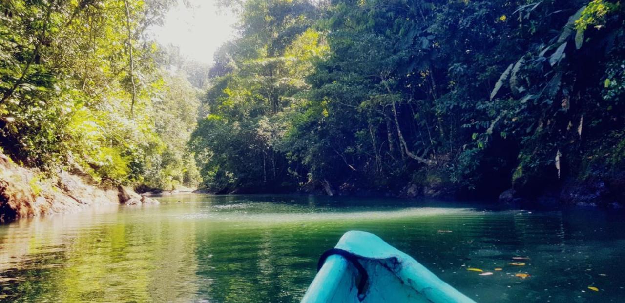 Corcovado Adventures Hostel Drake Bay ภายนอก รูปภาพ